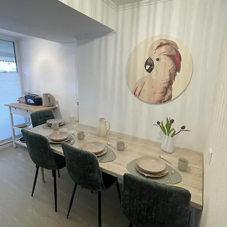 Bright And Comfortable For 4 People 아파트